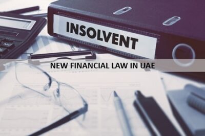 NEW FINANCIAL LAW IN UAE (2020)