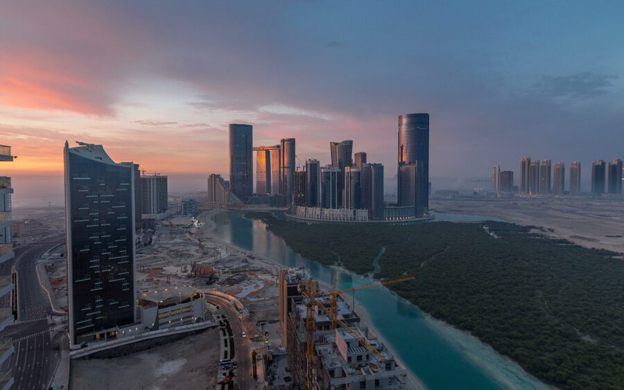 UAE Judgment- The scope and nature of an action to determine facts